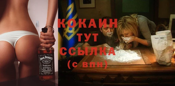 индика Аркадак