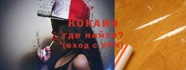 индика Аркадак