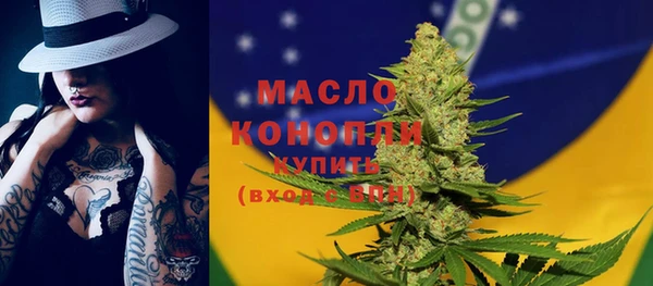 индика Аркадак