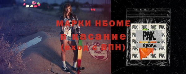индика Аркадак