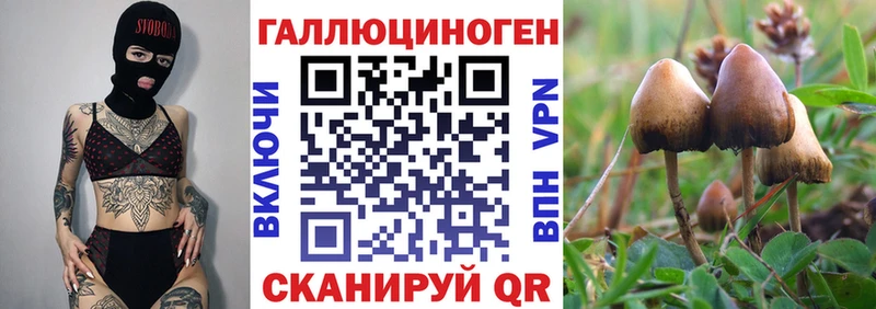 где купить   Дзержинский  Галлюциногенные грибы мухоморы 