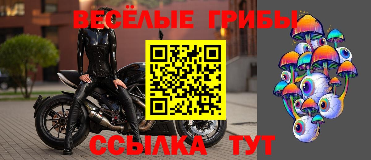 Псилоцибиновые грибы мицелий Дзержинский