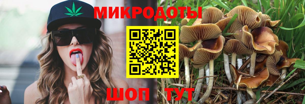 Псилоцибиновые грибы ЛСД  Псилоцибиновые грибы Psilocybe  купить наркотики сайты  Дзержинский  Вход с VPN 
